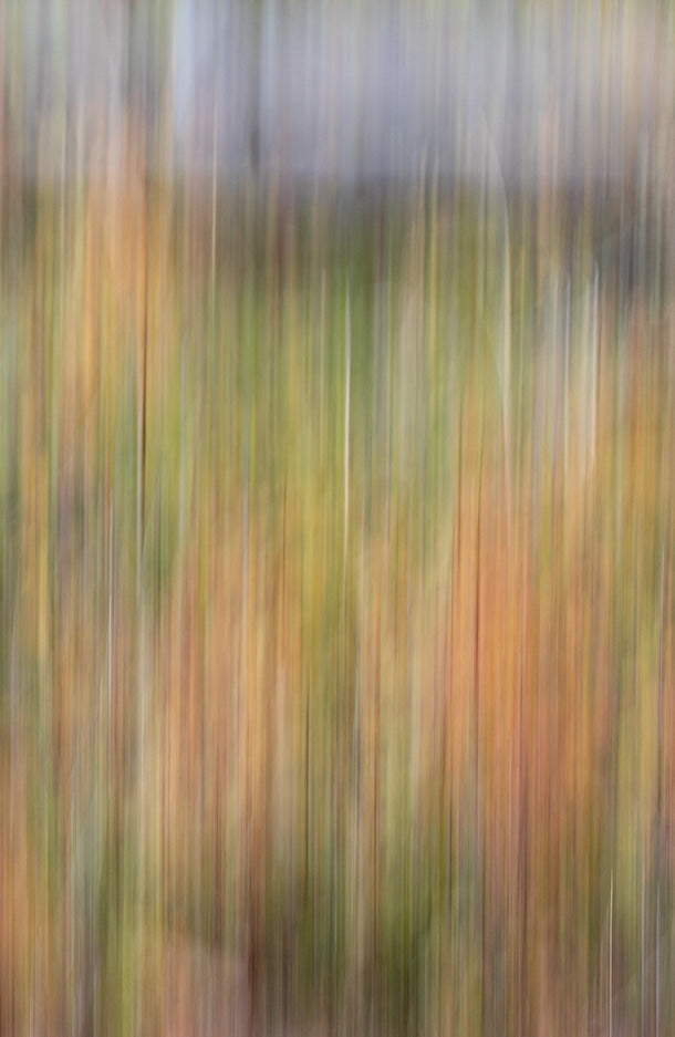 PHOTOGRAPHER SPOTLIGHT IAN BOLL