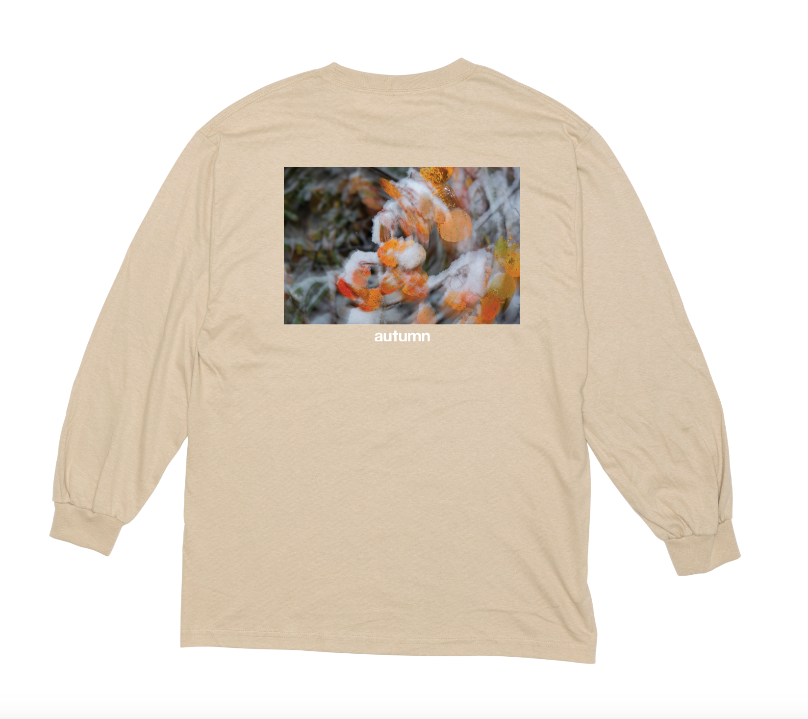 Idaho L/S Tee